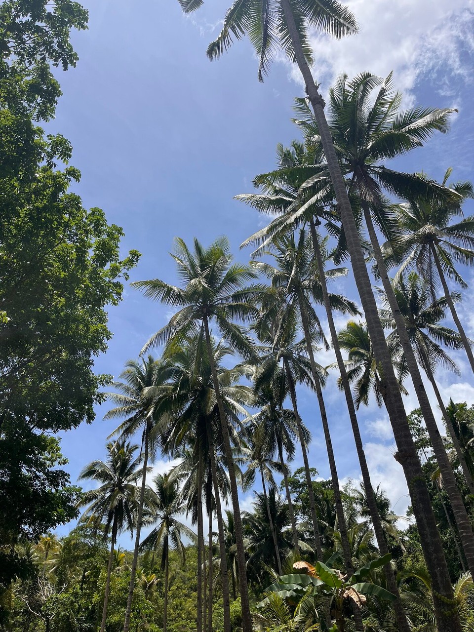 Philippines - San Juan - 