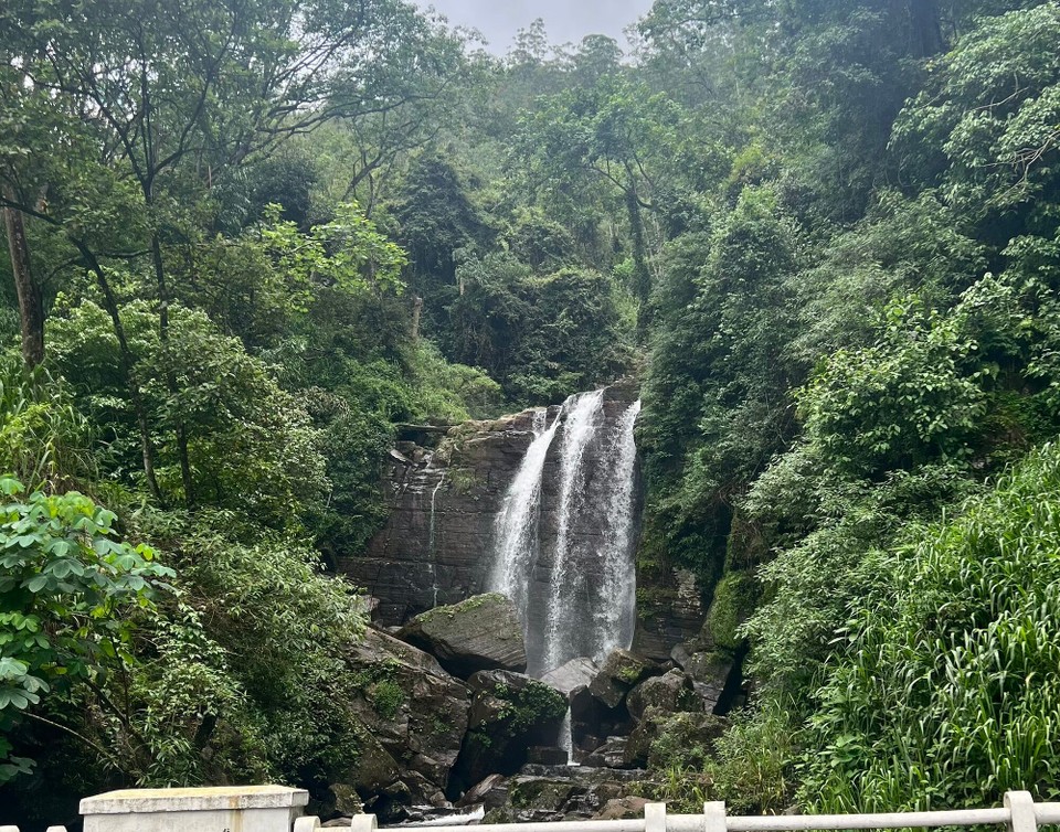 Sri Lanka -  - 