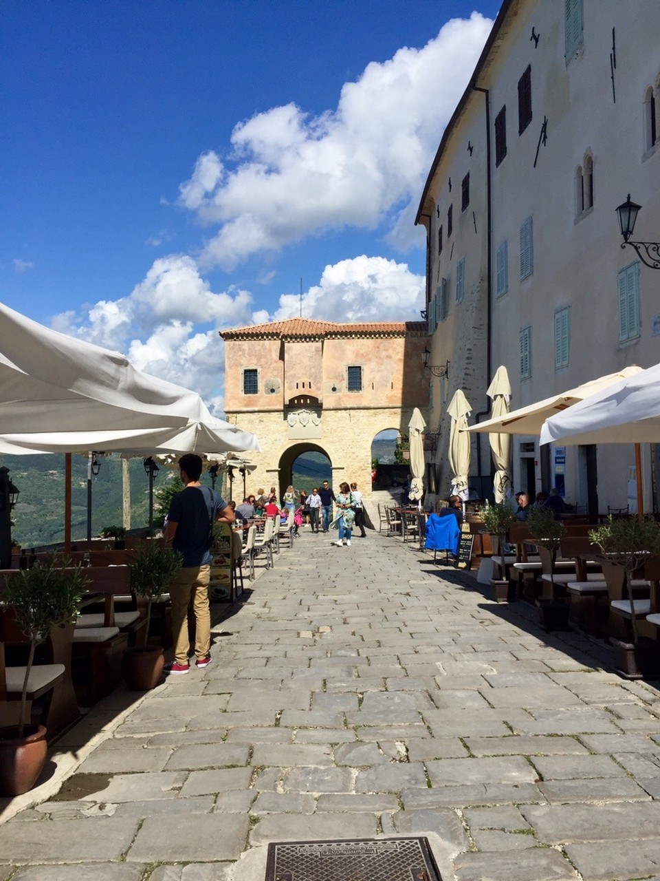 Kroatien - Motovun - 