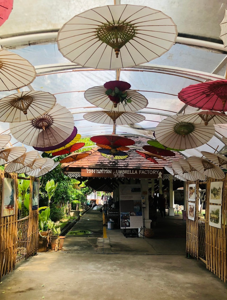 Thailand - Chiang Mai - Die Schirmfabrik