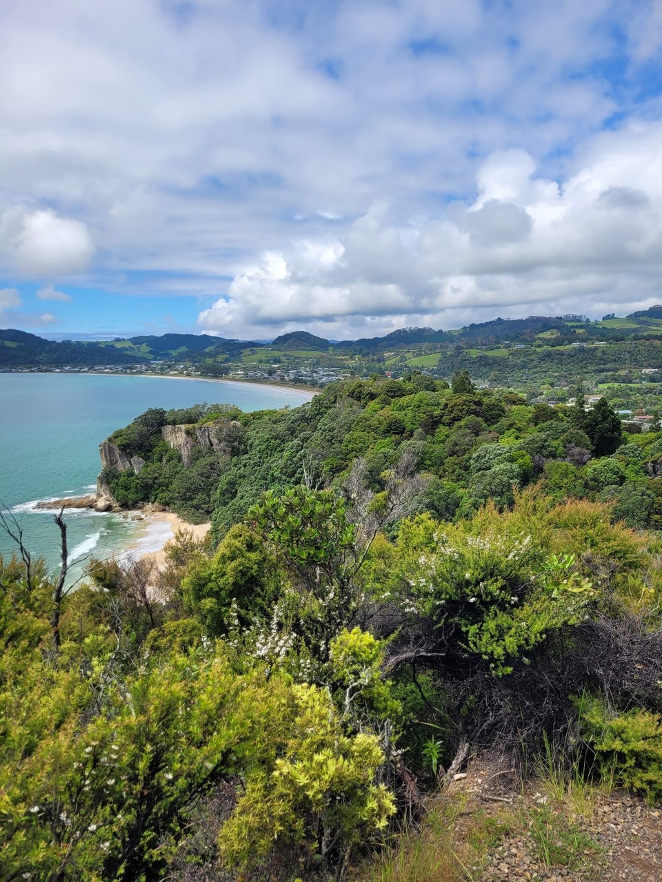 Neuseeland - Cooks Beach - 