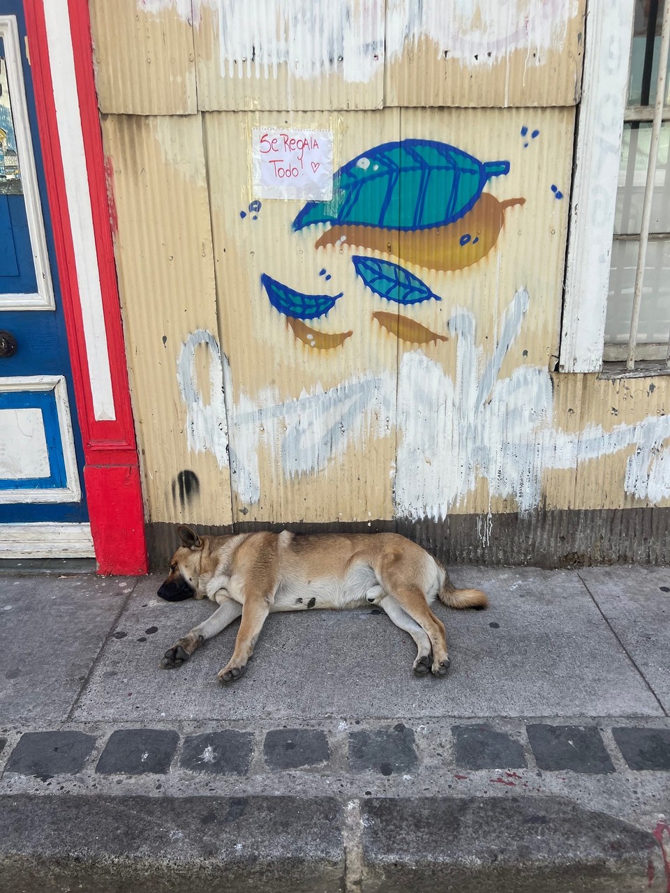 Chile - Valparaíso - 