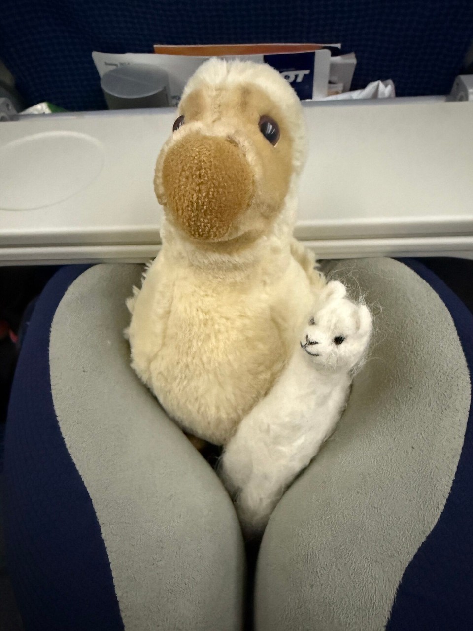 Deutschland - Berlin - Auch wieder dabei 