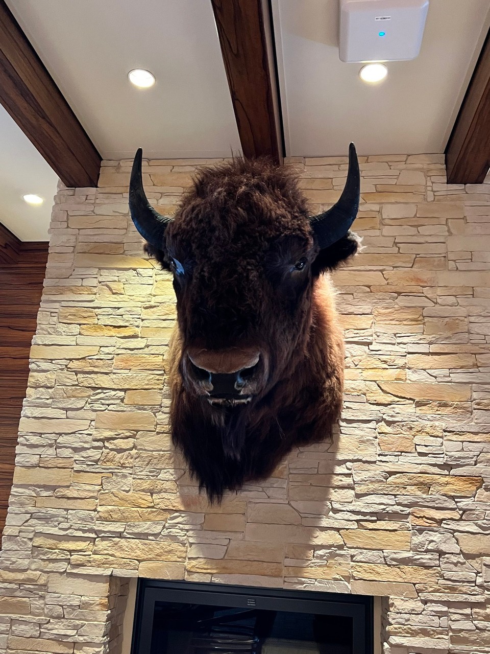  -  - im Buffalo Steakhouse 