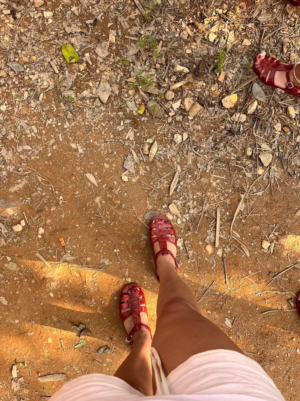 Vietnam - Bo Trach - Duck stop! This is called Tang’s Farm and it’s so cute. They give you a quick tour of some of the food they grow, they have a black pepper tree and let us try some. They then showed us to the ducks and we had to wear these jelly shoes 