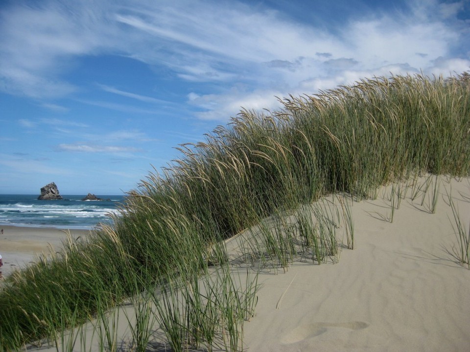 Neuseeland - Dunedin - 