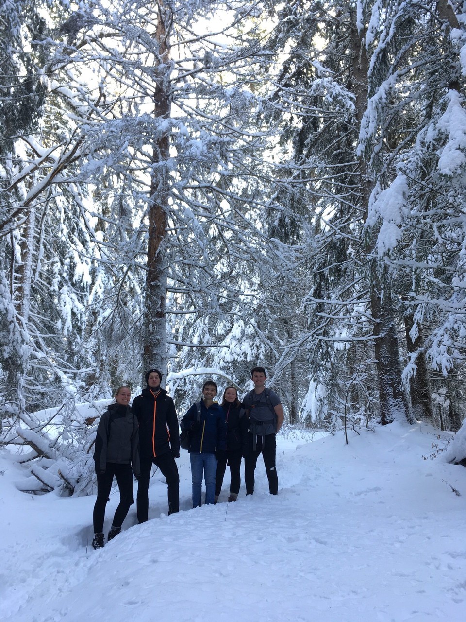 Frankreich - Villard de Lans - Weiter unten kamen wir ganz schön ins schwitzen und es war noch nicht so eisig kalt, circa 1 Grad, auf dem Berg circa -5.