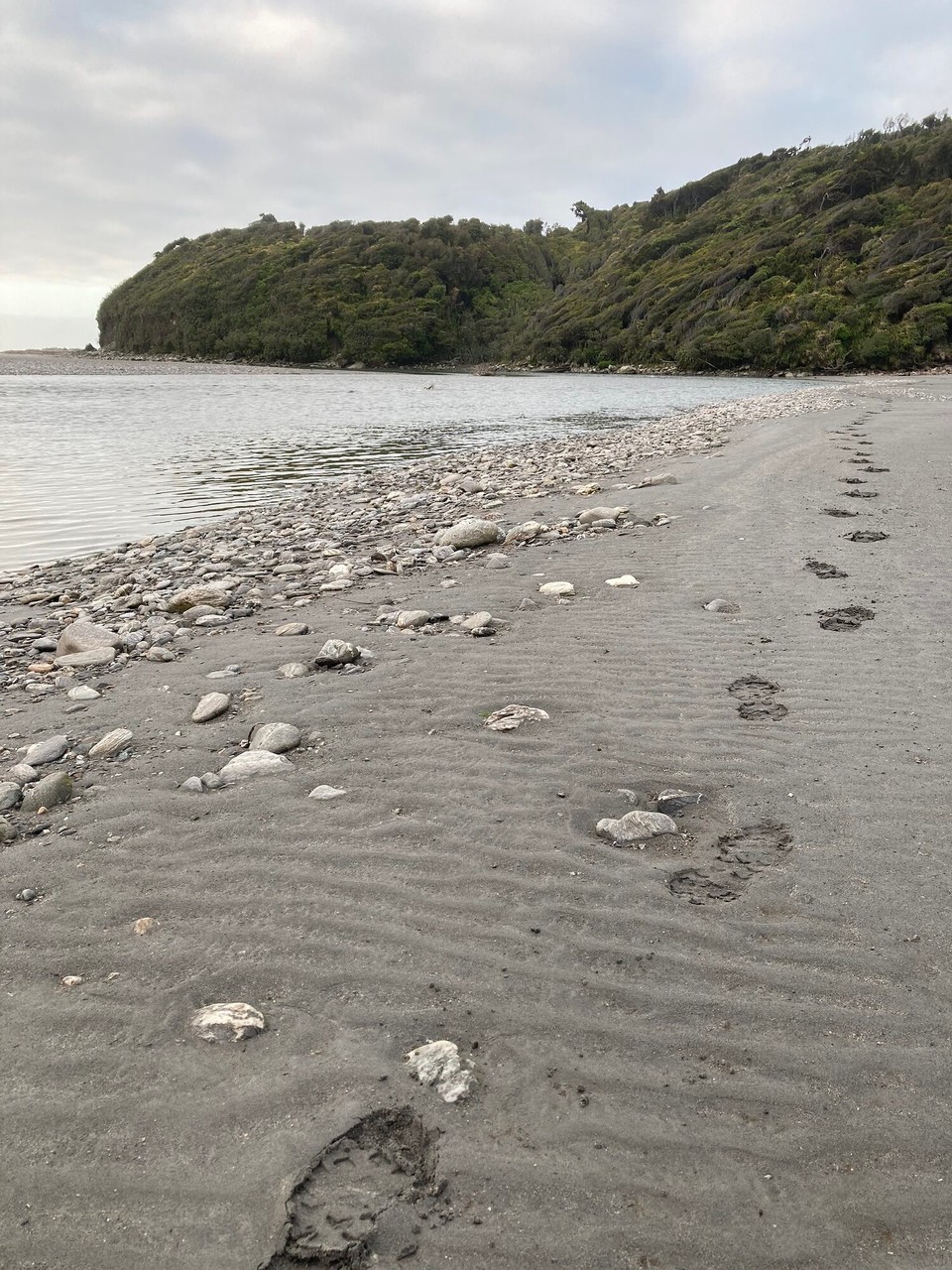 Neuseeland - Harihari - 