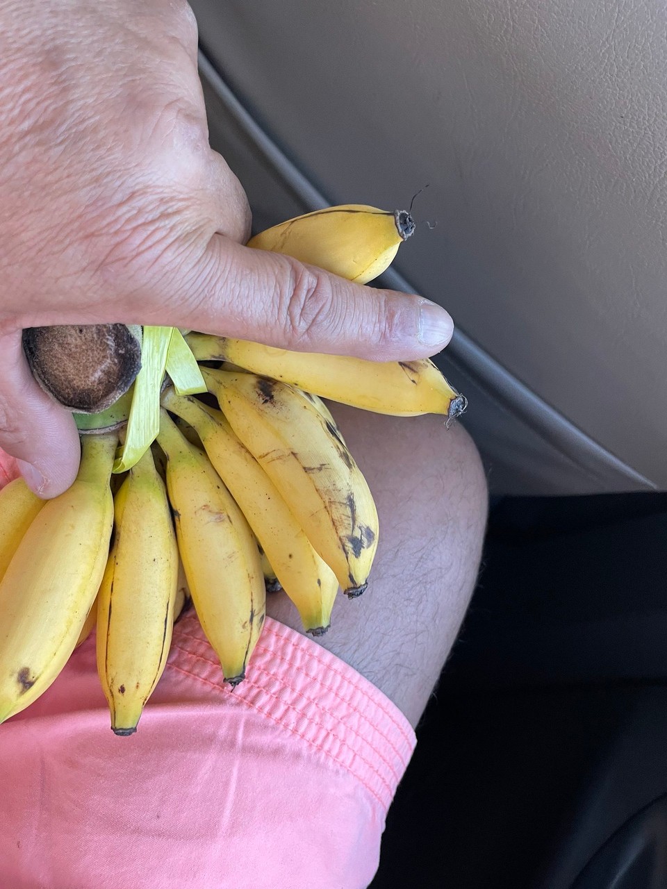 Indonesien - Kabupaten Lombok Timur - Auf dem Rückweg haben wir uns dann mit etwas besonderen belohnt.
Wir haben sie endlich gefunden, die Finger Banane.
Klein, schmal, mit einer dünnen Schale und super lecker.