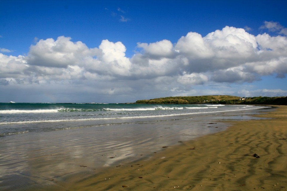 Neuseeland - Catlins - 