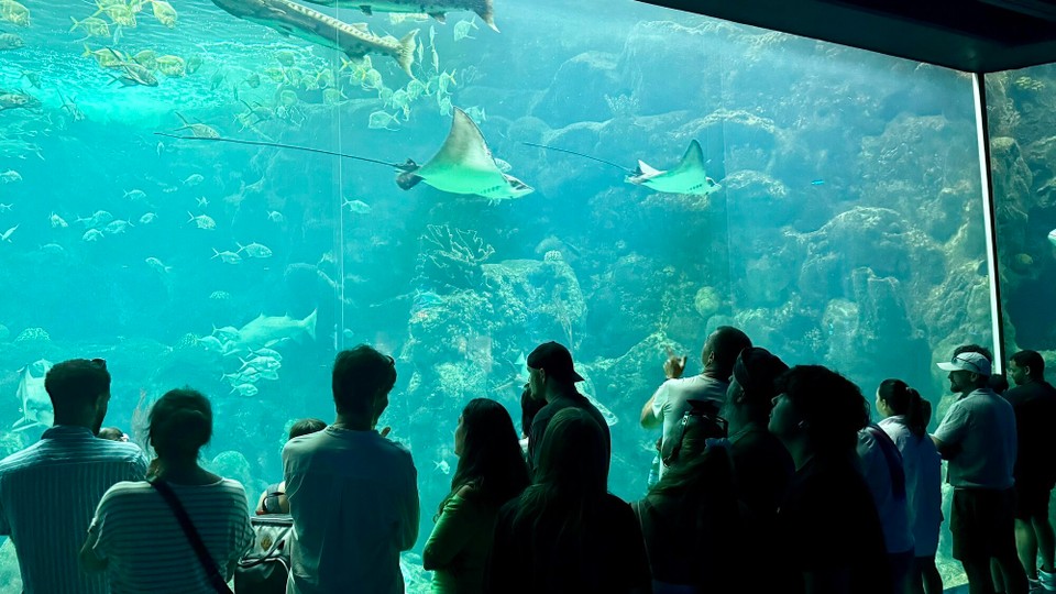 Vereinigte Staaten - Tampa - 