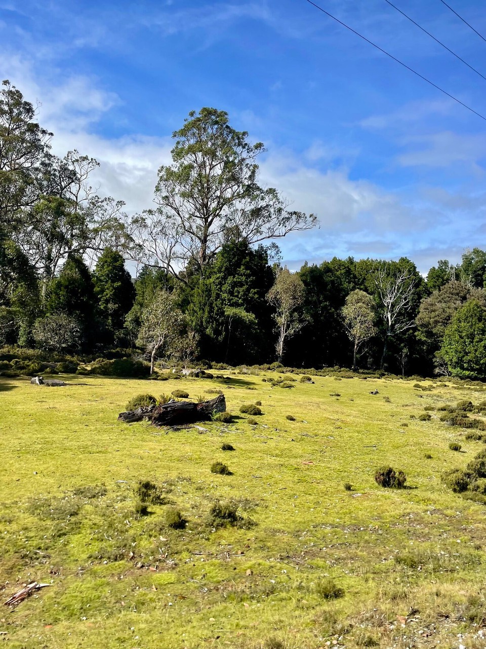 Australien - Launceston - 