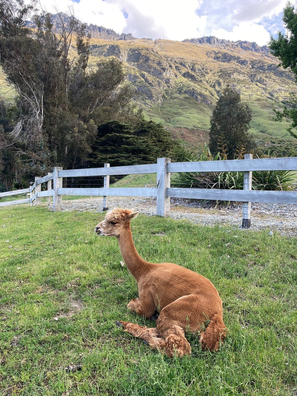 Neuseeland - Te Anau - 
