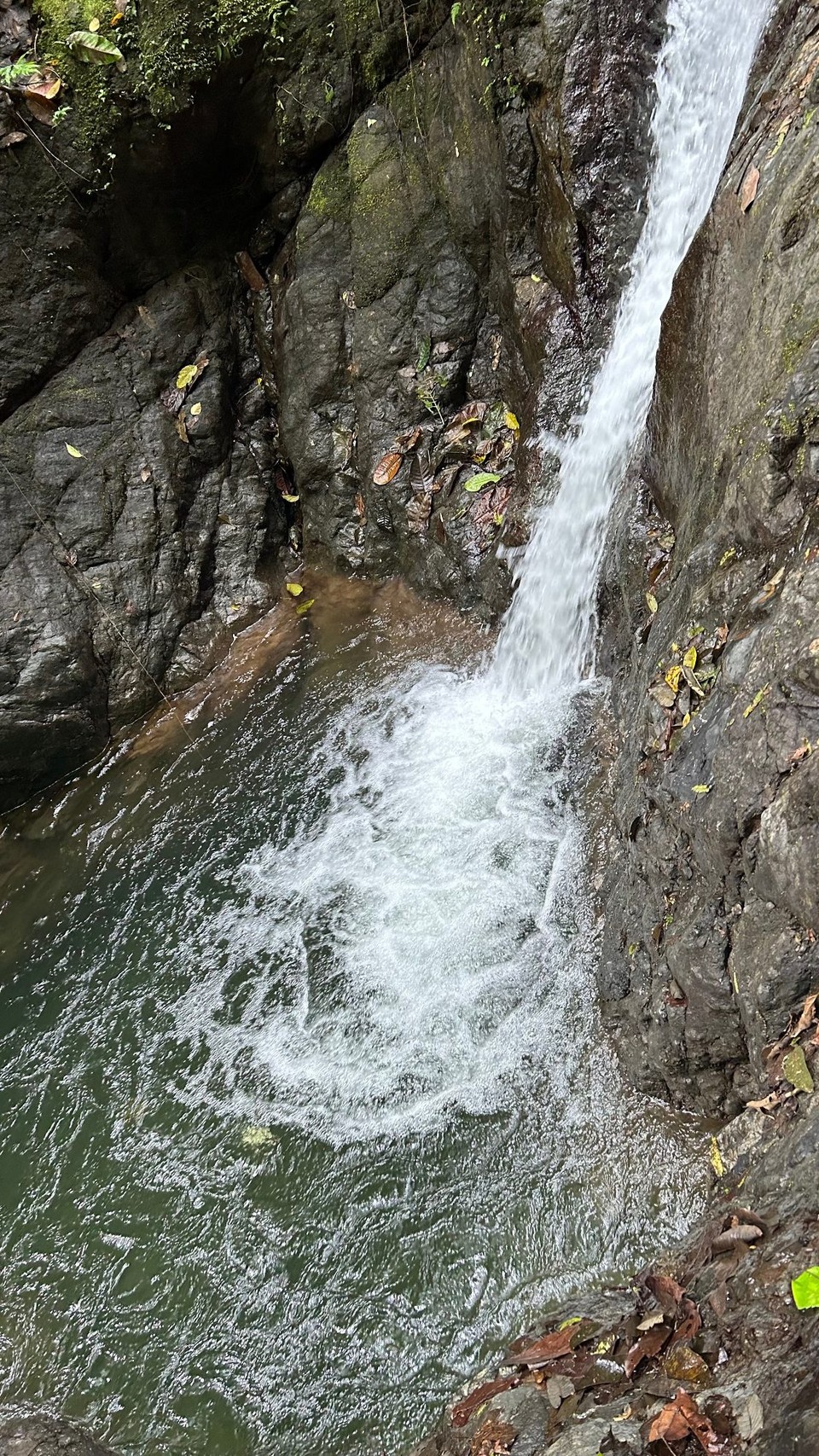 Costa Rica - Nationalpark Corcovado - 