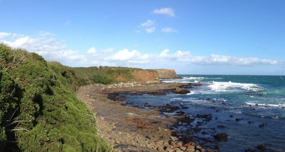 Neuseeland - Catlins - 