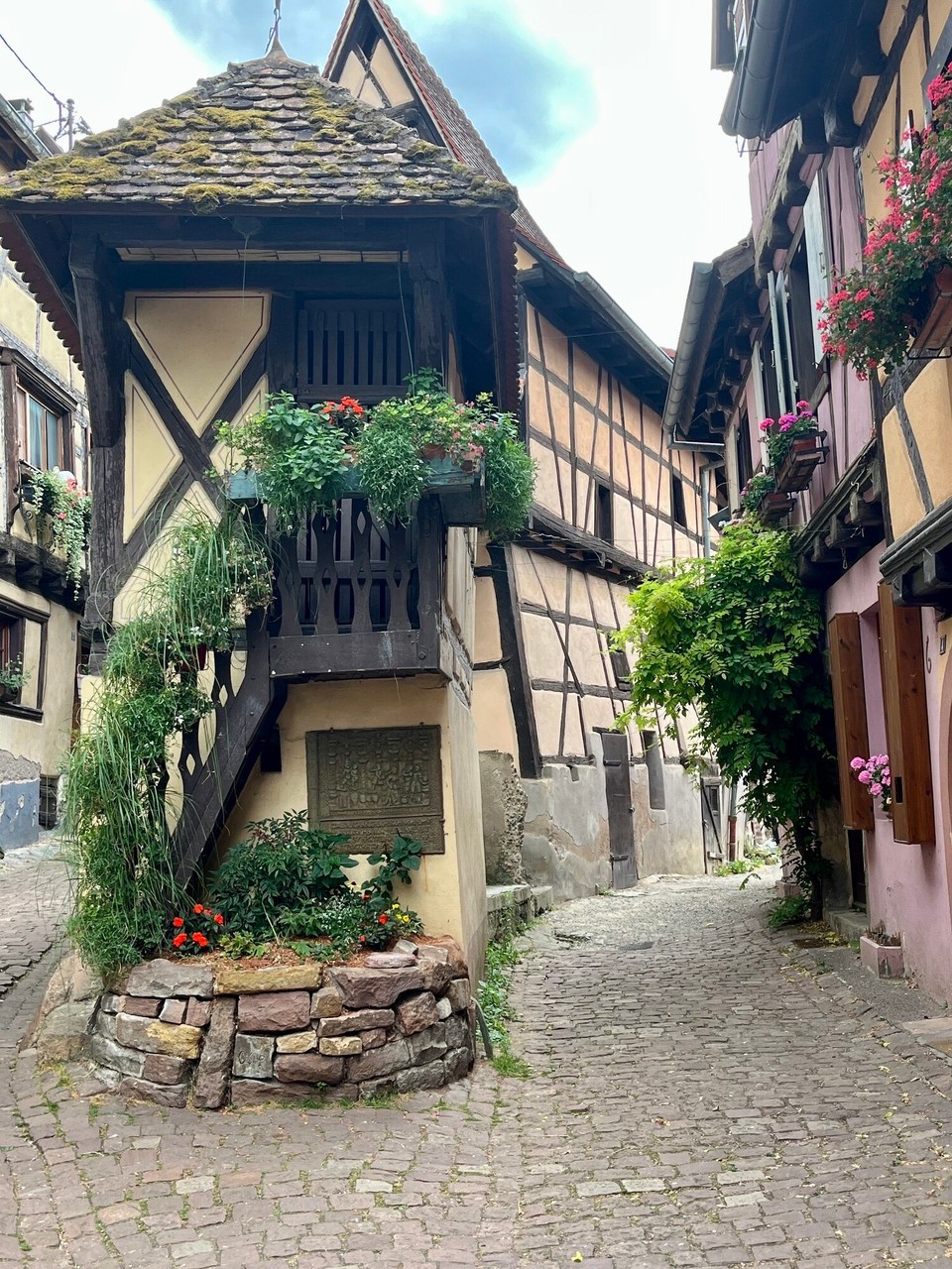 Frankreich - Eguisheim - 