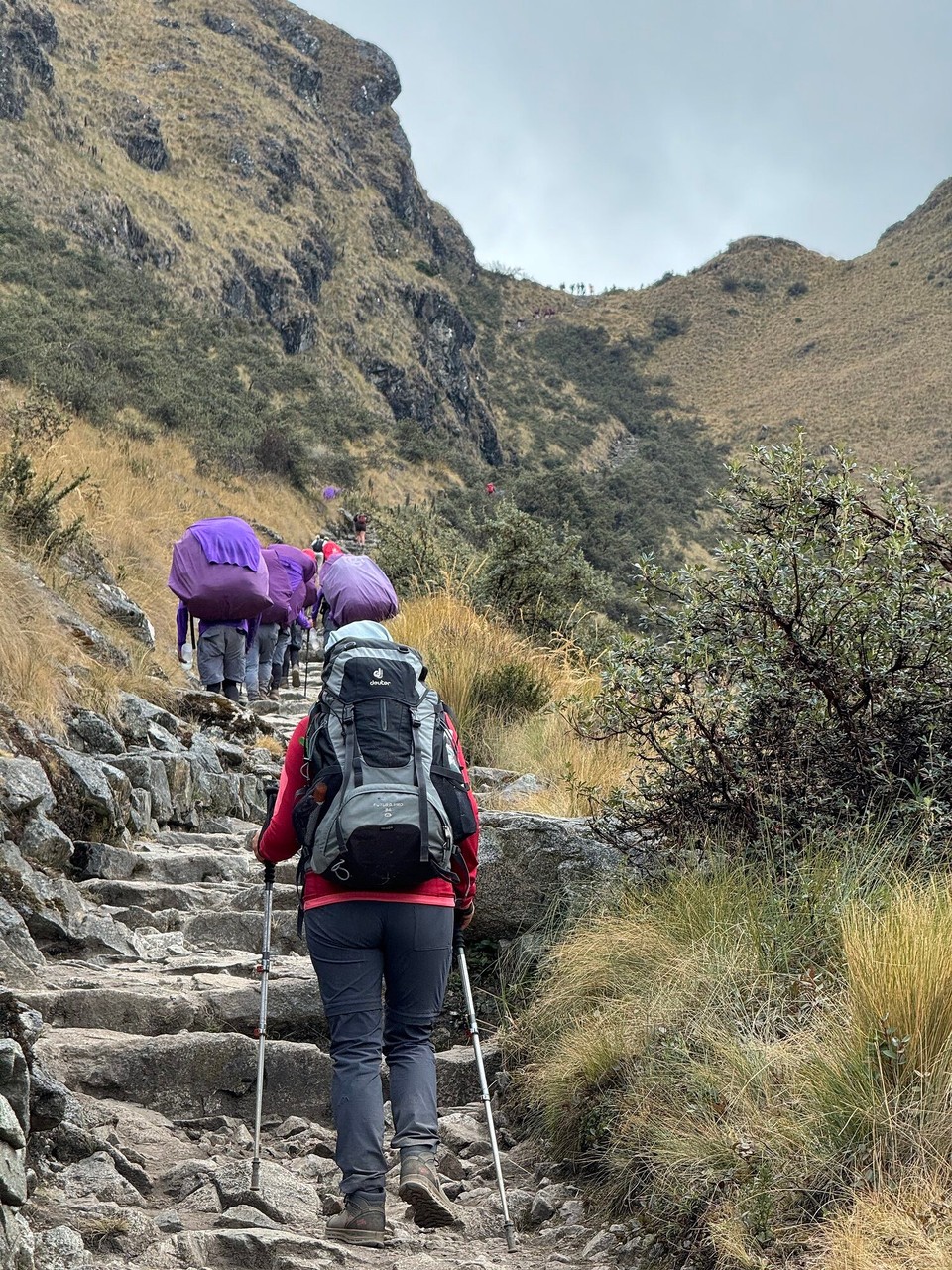 Peru -  - Steil, steiler