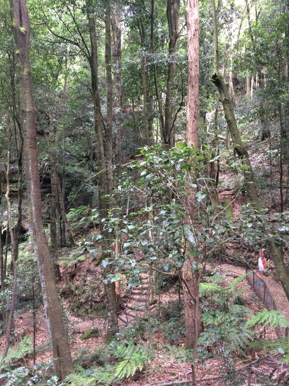 Australien - Katoomba - 