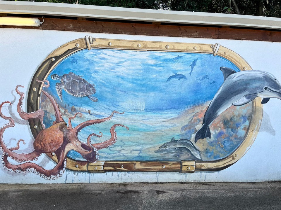 Kroatien - Vrsar - 
