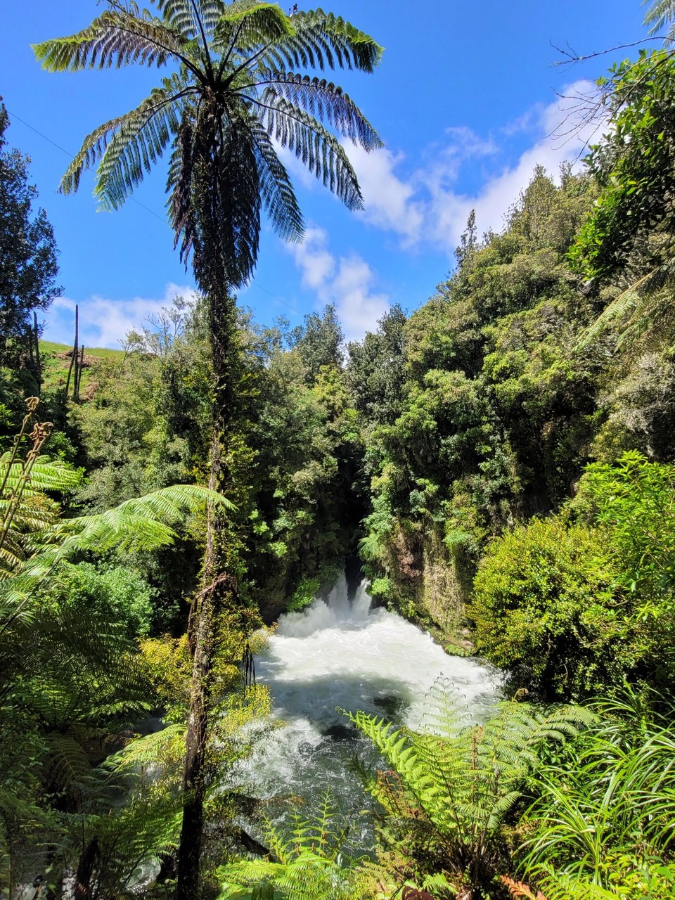 Neuseeland - Rotorua - 