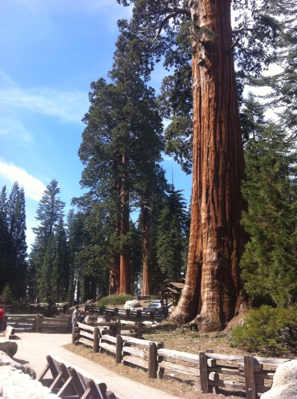 Egyesült Államok - Sequoia National Park - 