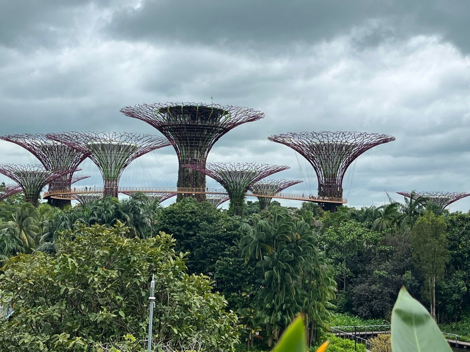Singapur - Singapur - 