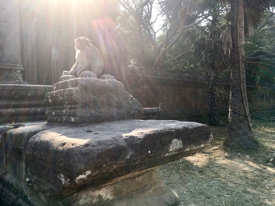 Cambodia - Siem Reap - 