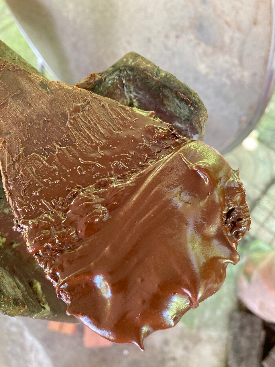 Vietnam - Can Tho - Tada, Schokolade 🥳🤩🤤