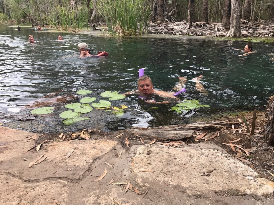 Australia - Mataranka - Bitter springs is a bit more natural setting