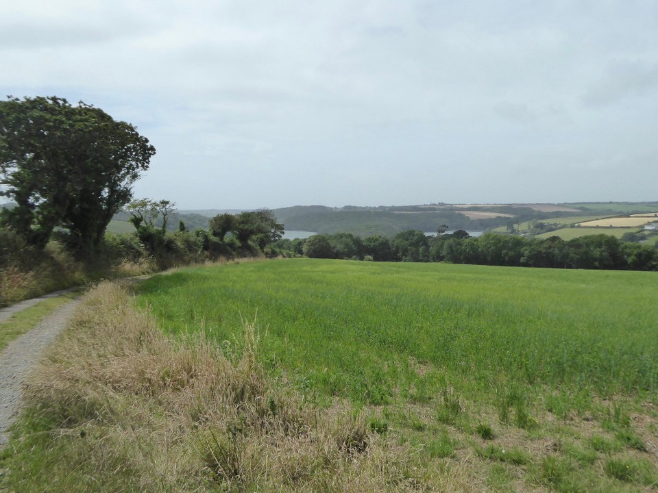 United Kingdom - Helston - 