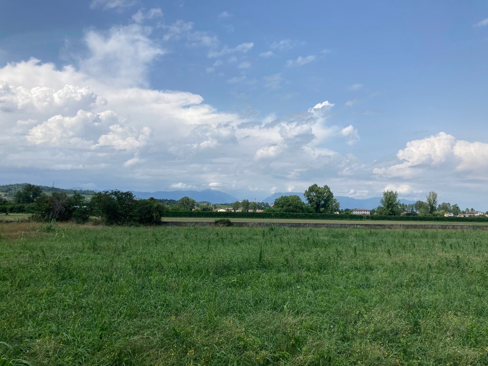 Italien - Susegana - Col Visentin ist immer wieder mal zu sehen.