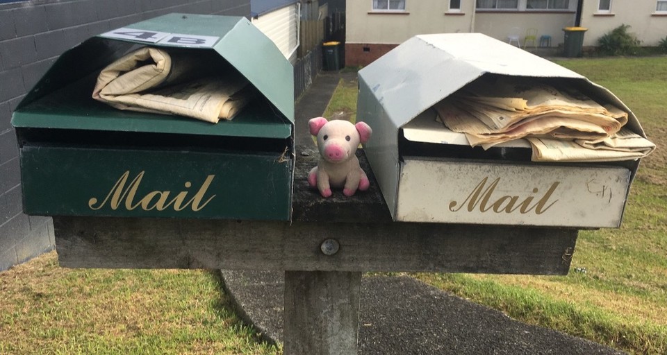 Neuseeland - Mangonui - Warten auf Post von Borstine