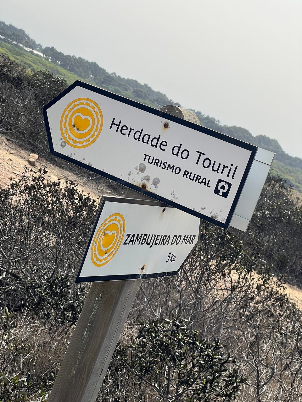 Portugal - Zambujeira do Mar - 