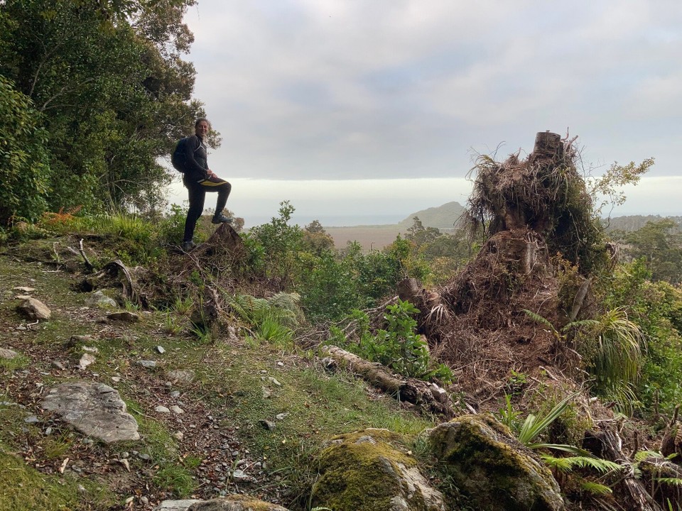 Neuseeland - Harihari - 