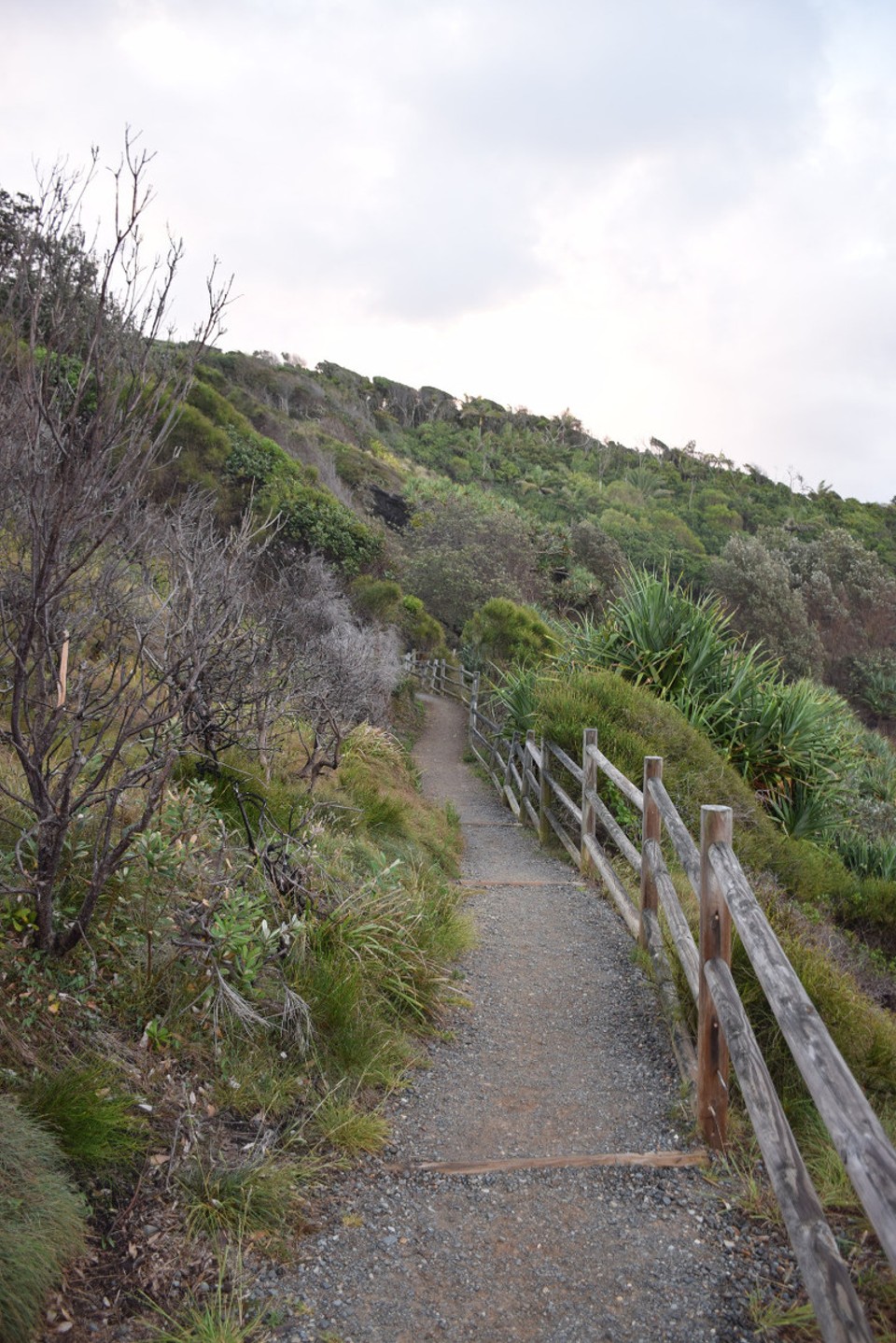 Australien - Port Macquarie - 