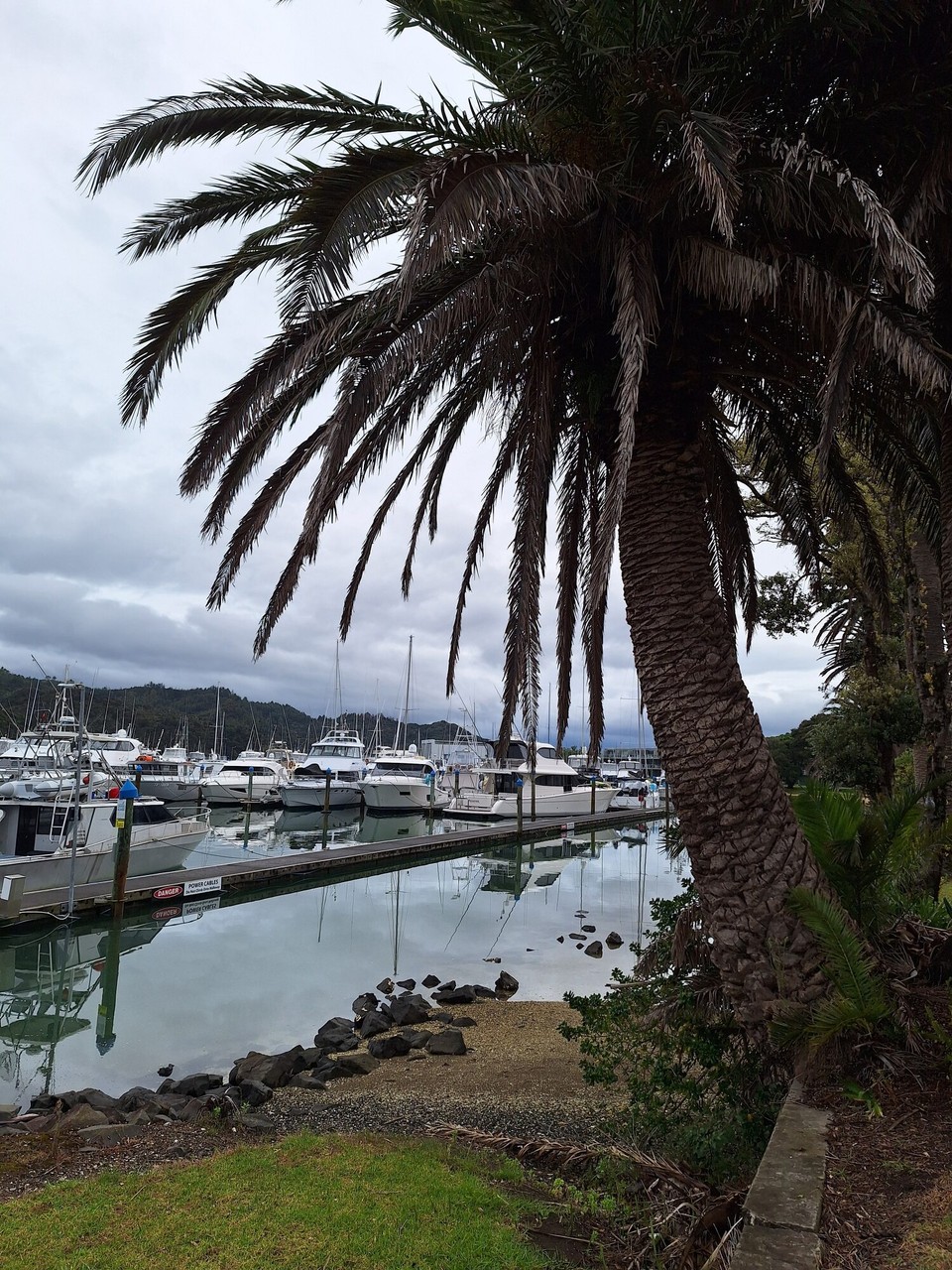 Neuseeland - Whitianga - Marina