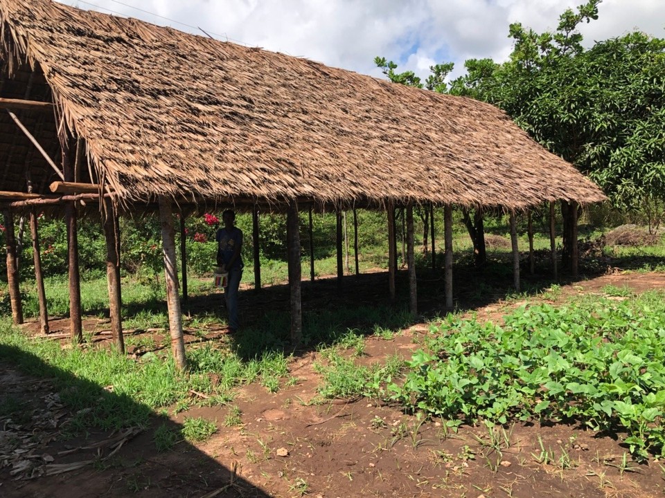 Kenia - Kwale - 