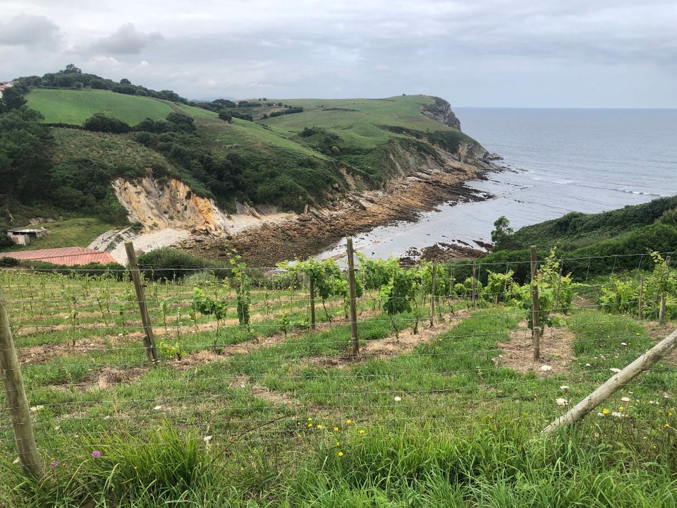 Spanien - Comillas - Auch hier gibt‘s Wein 