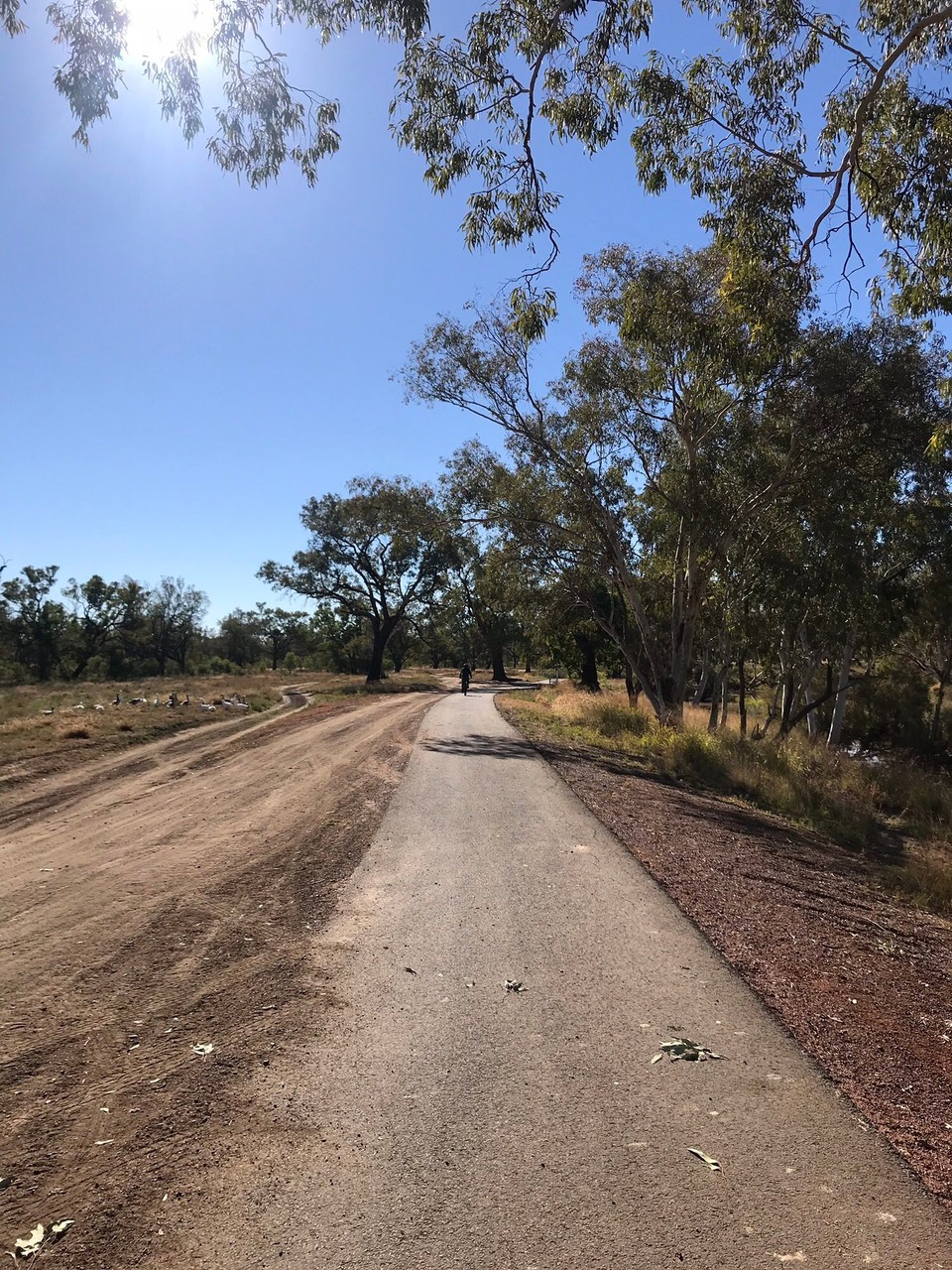 Australia - Charleville - Charlevilles version of a river walk !