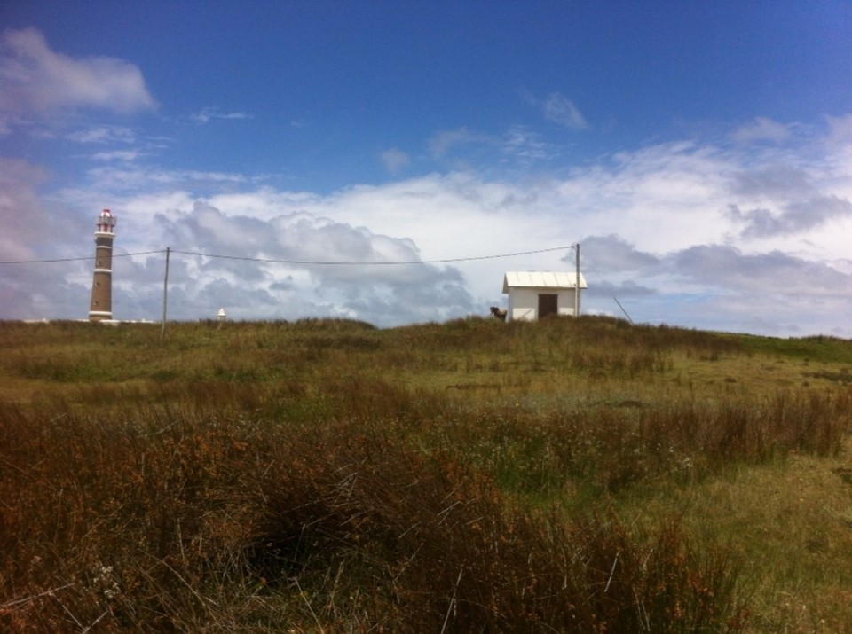 Uruguay - Cabo Polonio - 