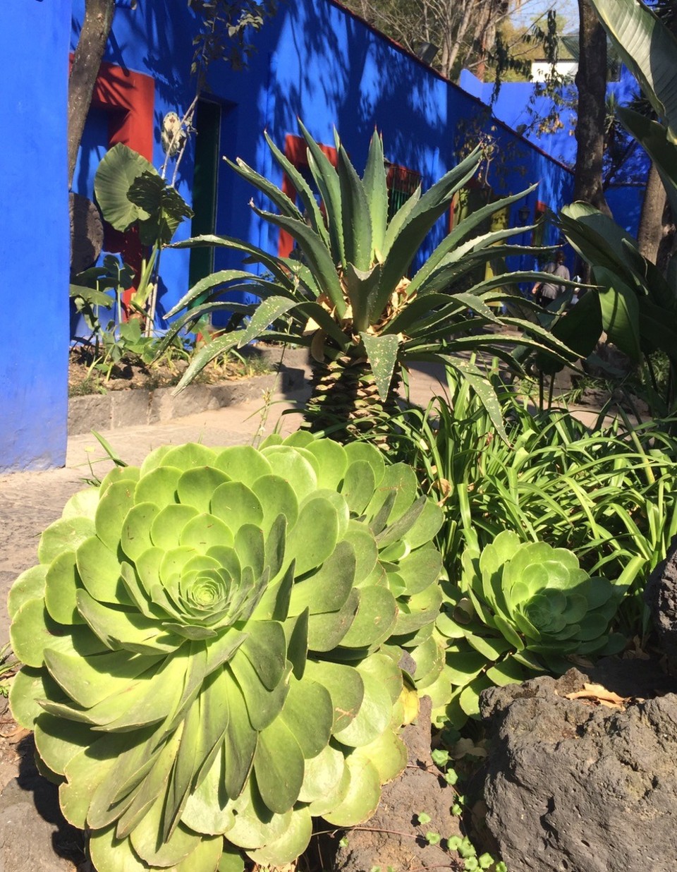Mexiko - Mexiko-Stadt - 