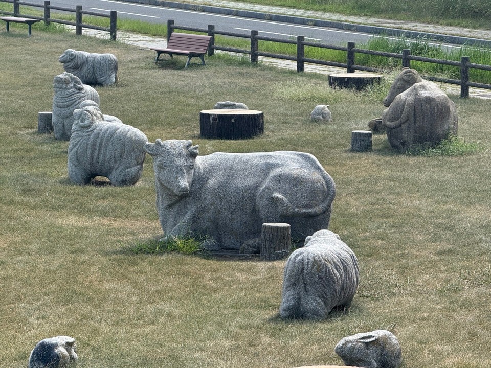 Japan - Narita - So viele Tiere auf der Weide haben wir sonst nirgends gesehen