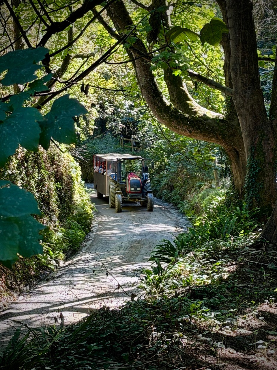 Vereinigtes Königreich - Sark - 