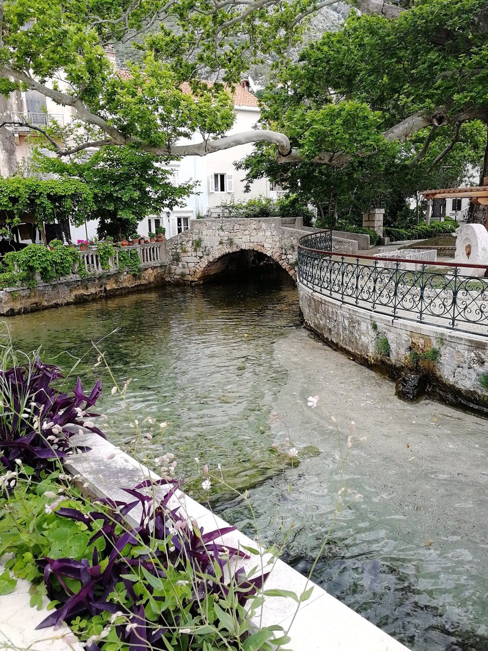 Kroatien - Župa Dubrovačka - Der Bachlauf in Mlini