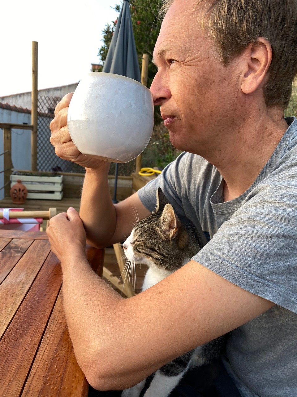 Portugal - Aljezur - Ein Kater mit Weitblick