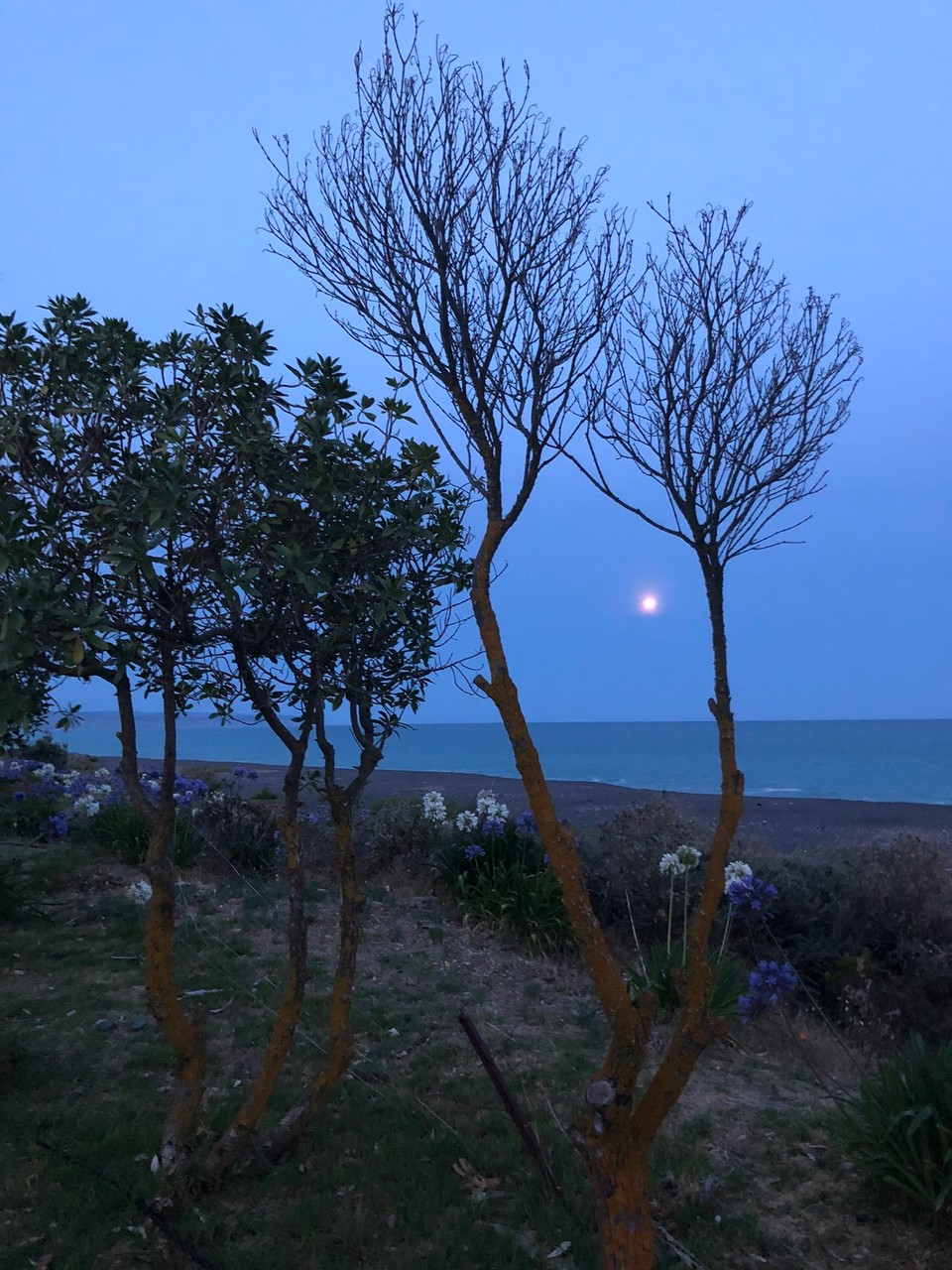 Neuseeland - Bay View - Vollmond über dem Pazifik