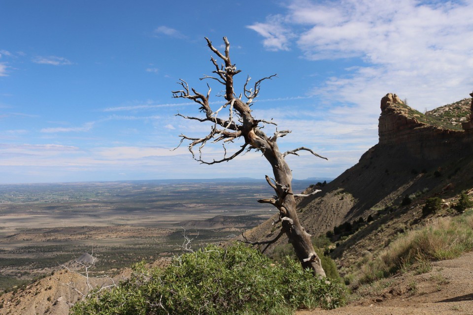 USA - Gallup - Mesa Verde NP