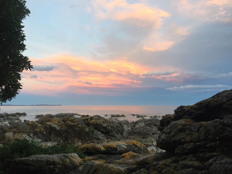 Neuseeland - Goose Bay - Abendstimmung 