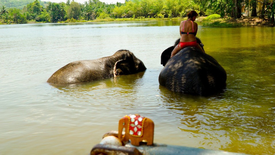 Thailand - Khao Lak - Finding new friends