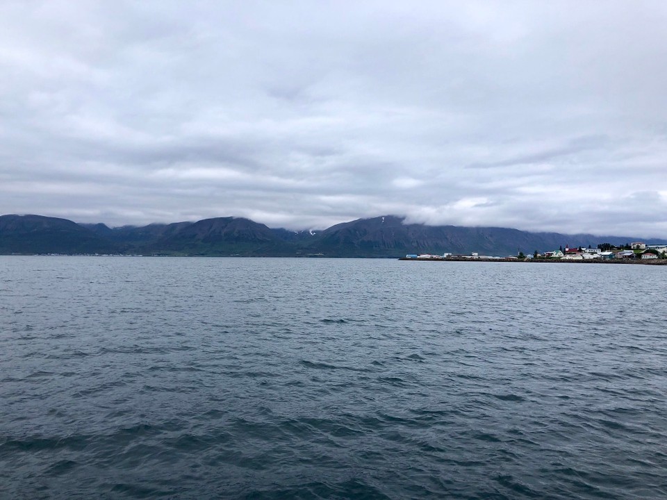 Island -  - Wo taucht er nun wieder auf?